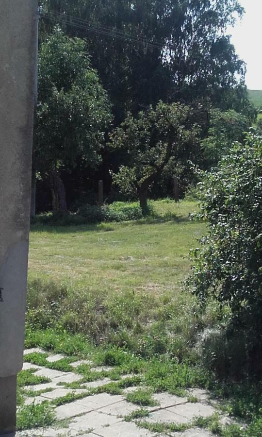 Blazejovice Apartment In The Hajenka Holiday House מראה חיצוני תמונה